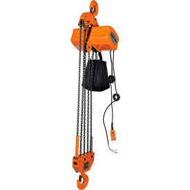 Economy Chain Hoist with Chain Container, 10000 lb. Capacity, 15' Lift, 110/220V