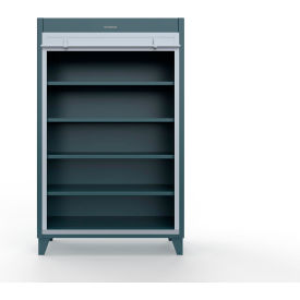 Extreme Duty Cabinet with Roll-Up Door & 4 Shelves, 48"W x 24"D x 78"H, Blue