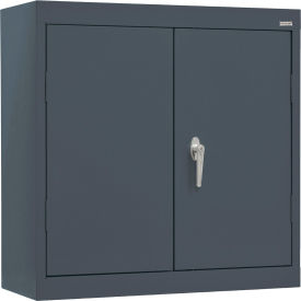 Classic Wall Mount Storage Cabinet, 30"W x 12"D x 26"H, All-Welded, Charcoal