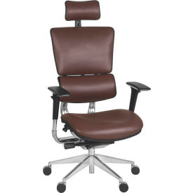 Omega Ergonomic Executive Office Chair with High Back & Adj. Arms, Leather, Chocolate