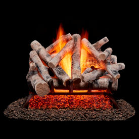 24" Vented Dual Fuel Fireplace Log Set, 55000 BTU, Birch Wood