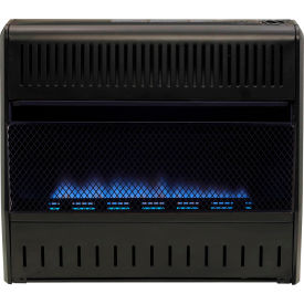 Dual Fuel Ventless Blue Flame Garage Heater, 30000 BTU, T-Stat Control
