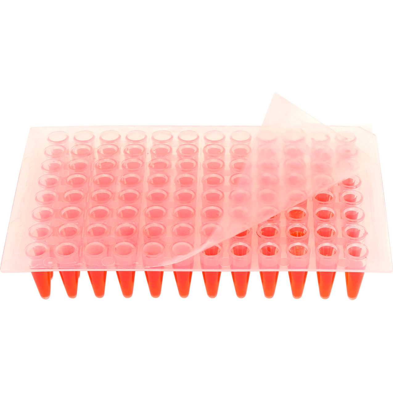 Bio PCR Sealing Film, Adhesive, Sterile, Transparent, Pack of 100