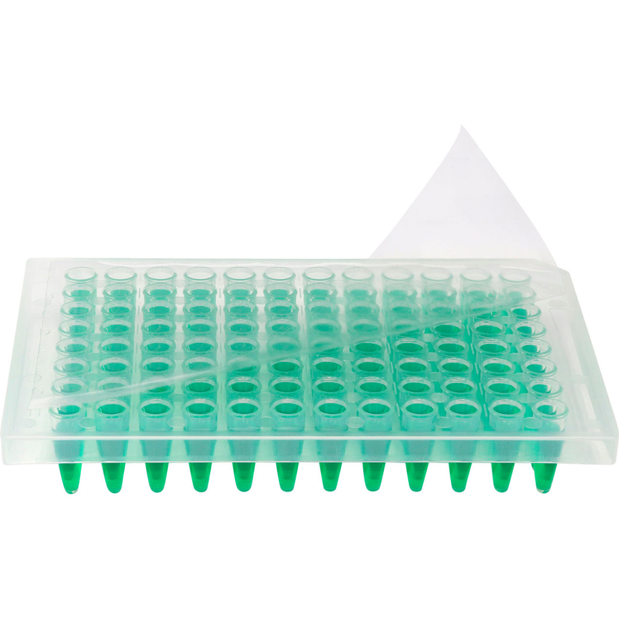 Bio qPCR Sealing Film, Pressure Activated Adhesive, Sterile, Optically Clear, Pack of 100