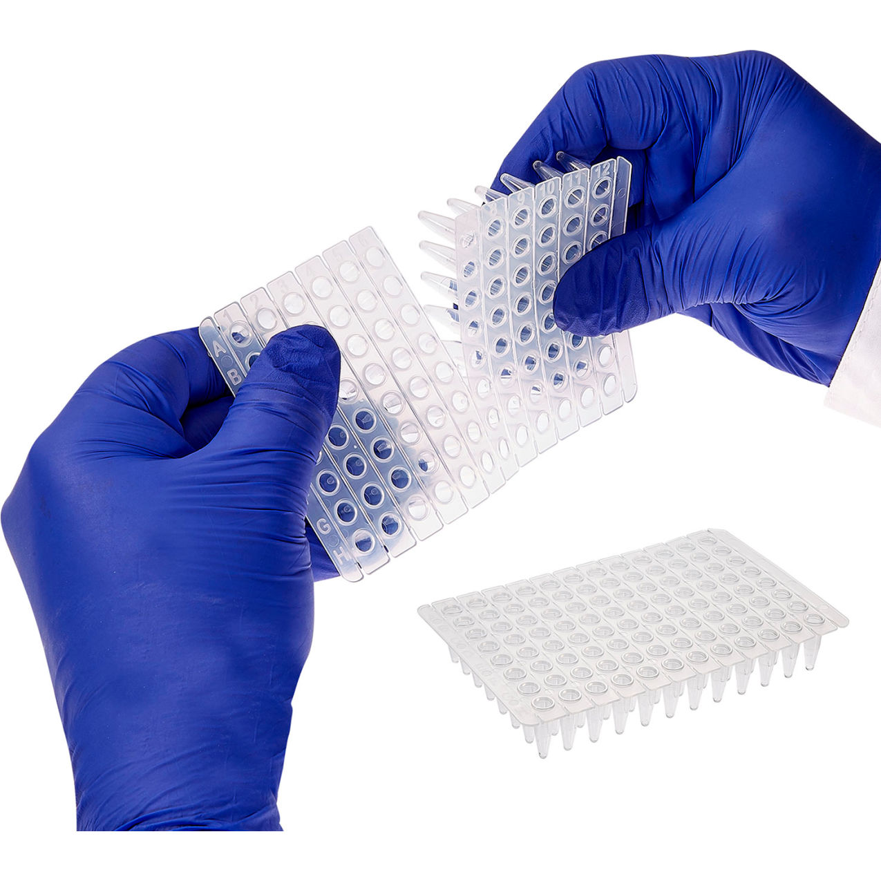 Bio PCR Plates, 96 well, 0.2mL, Standard, Non-Skirted, Breakaway Strips of 8, Pack of 50