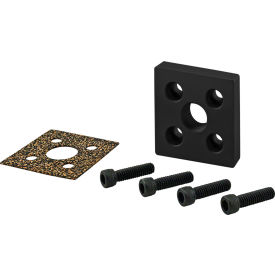 10 Series 2" x 2" End Mount Pressure Manifold Plate w/ 3/8" Npt, Black