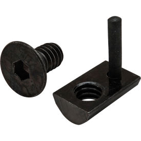 15 Series Flat Head Socket Cap Screw and Drop In T-Nut, 1/4-20 X 1/2"