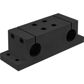 10 Series 1" Double Shaft Mounting Block, Black