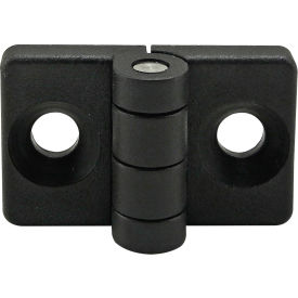 20 Series 2 Hole - Standard Plastic Hinge, Non-Detachable