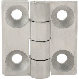 30 Series Stainless Steel Hinge, 60 x 60, Non-Detachable