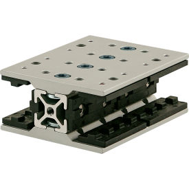 25 Series Long Double Unibearing Assembly, 25-2525 x 100MM, Clear