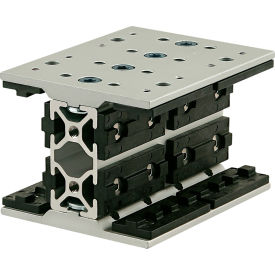 25 Series Long Double Unibearing Assembly, 25-2550 x 100MM, Clear