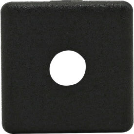25 Series 2015 Matte Finish Plain End Cap with Push-In Fastener