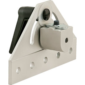 25 Series 180 Degree Pivot Assembly w/ L-Handle, Clear