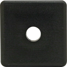 40 Series Lite End Cap w/ Push-In Fastener, Matte Finish, Black
