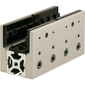 40 Series Long Single Mount Unibearing Assembly 40-4040 x 160MM, Clear