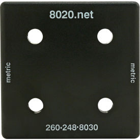 40 Series End Cap w/ Push-Ins, Matte Finish, Black