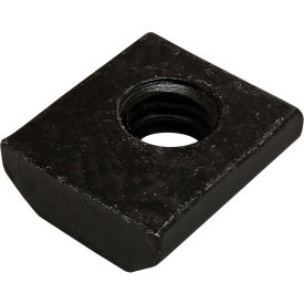 40 Series 5/16-18 Standard T-Nut, Black