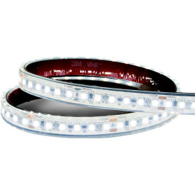600mm White Rope Light, 24V