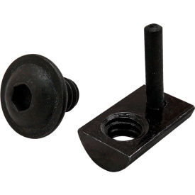 1/4-20 x 3/8" Flat Button Head Socket Cap Screw & Drop-In