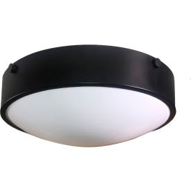 13" LED Flush Mount Fixture with 2 Medium Base, 20W, 1800 Lumens, 120V, Black