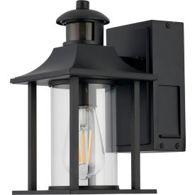 Outdoor Wall Lantern with LED Bulb Included, 1490 Lumens, 15W, 120V, Black