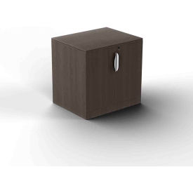 Jax Storage Cabinet, 30"W x 18"D x 30"H, Timber Oak