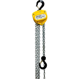 Premium Chain Hoist, 1 Ton Capacity, 40' Lift