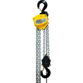 Premium Chain Hoist, 3 Ton Capacity, 40' Lift