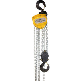 Premium Chain Hoist, 5 Ton Capacity, 40' Lift