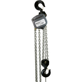 Industrial Chain Hoist, 5 Ton Capacity 40' Lift