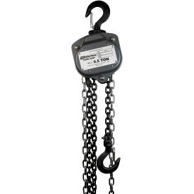 Industrial Chain Hoist, 1/2 Ton Capacity 40' Lift