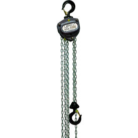 Industrial Chain Hoist, 1/4 Ton Capacity 30' Lift