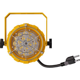 LED Dock Light Head, 30W, 3900 Lumens