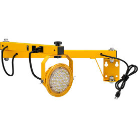 LED Dock Light with 40" Single Strut Arm, 10W, 1200 Lumens