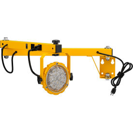 LED Dock Light with 40" Single Strut Arm, 30W, 3900 Lumens