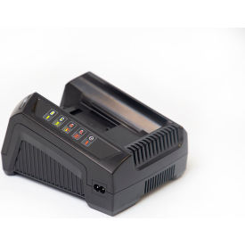 Replacement Charger for P331 Li-Ion 120V/50-60 Hz
