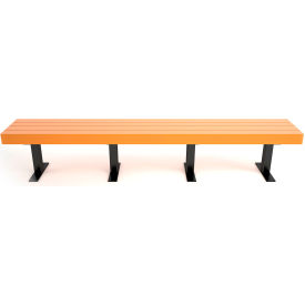 Trailside 8' Recycled Plastic Cedar Bench, Black Frame