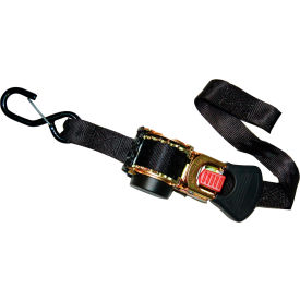 Cargo Strap Assy Ratchet Buckle w/vinyl S-Hooks, 1" x 6', Black, Pack of 2