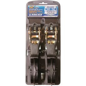 Cargo Strap Assy Ratchet Buckle w/vinyl S-Hooks, 1" x 12', Black, Pack of 2