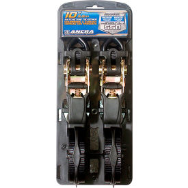 Cargo Strap Assy Ratchet Buckle w/vinyl S-Hooks, 1" x 10', Black, Pack of 2