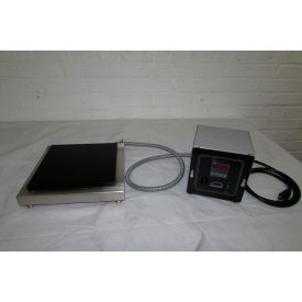 Digital Thermostat Low Profile Hot Plate, 9" x 9" Plate, 325°C, 120V, Silver