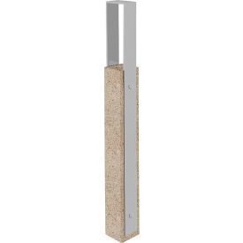 Collaboration Vault Bike Bollard, Tall/Square, 2-Bike Capacity, Gray/Aluminum