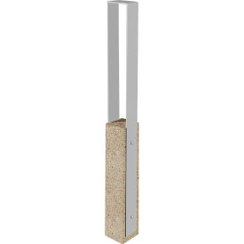 Collaboration Vault Bike Bollard, Medium/Square, 2-Bike Capacity, Gray/Aluminum