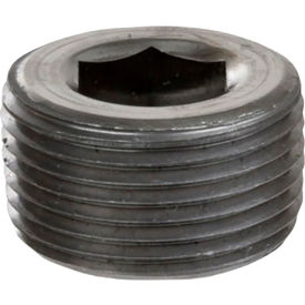 2" Plain Merchant Steel Hex Socket Plug, 150-300 PSI