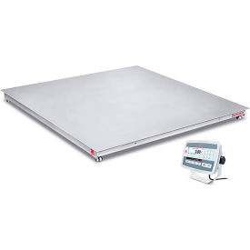 Defender 3000 NTEP Washdown Floor Scale with LCD, 4'x4', 5000 lb x 1 lb