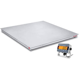 Defender 3000 NTEP Washdown Floor Scale LCD, 4' x 4', 5000 lb x 1 lb