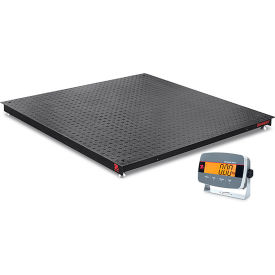 Defender 3000 Floor Scale with LCD, 5000 lb x 1 lb