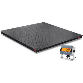 Defender 3000 Floor Scale, Black Painted Steel with LCD, 5000 lb x 1 lb