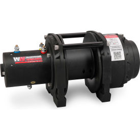 EH Industrial Hoist, 2000 lb. Capacity, 12V